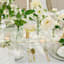 Willow Crossley 12-Pack White Unscented Tealight Candles