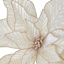 Ivory & Gold Poinsettia, 5.5"