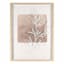 Soul Searcher Glass Framed Botanical Print Wall Art, 18x24