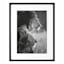Glass Framed Lions Print Wall Art, 19x25
