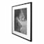 Glass Framed Lions Print Wall Art, 19x25