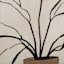 Soul Searcher Framed Sketch Botanical Canvas Wall Art, 18x24