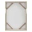 Soul Searcher Framed Sketch Botanical Canvas Wall Art, 18x24