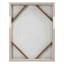 Soul Searcher Framed Botanical Soul Canvas Wall Art, 18x24