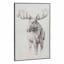Framed Sketch Moose Wall Art, 24x36