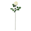 Willow Crossley Ivory Real Touch Rose Floral Stem, 25.6"