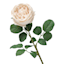 Willow Crossley Soft Pink Real Touch Rose Floral Stem, 25.6"