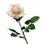 Willow Crossley Soft Pink Real Touch Rose Floral Pick, 25.6"