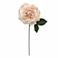 Willow Crossley Ivory & Pink Real Touch Rose Floral Pick, 12"