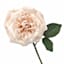 Willow Crossley Ivory & Pink Real Touch Rose Floral Pick, 12"