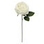 Willow Crossley White Real Touch Rose Floral Pick, 12"