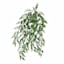 Eucalyptus Hanging Bush, 31"
