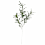 Olive Branch Stem, 30"