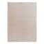(B883) Crosby St. Beige Bebel Faux Fur Shag Area Rug, 5x7