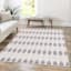 (D613) Tracey Boyd Palermo Grey & White Washable Area Rug, 5x8