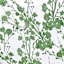 Green Floral Print Tablecloth, 60x84
