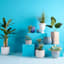 Honeybloom Mews Blue Ceramic Outdoor Planter, Large