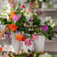 Willow Crossley Tall White Metal Outdoor Planter, Medium