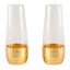 Found and Fable Set of 2 Glass Tumbler with Gold Bottom 8.1oz