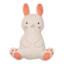 Bunny Brights Bunny Shaped Easter Throw Pillow, 18"