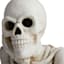 Midnight Shadows LED Skeleton Halloween Decor, 20"