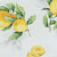 Limoncello Printed Spill-Proof Tablecloth, 60x104