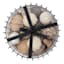 Natural Dried Filler Orbs with Black Bowl