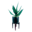 Agave Plant in Ceramic Planter Stand, 21"