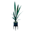 Snake Plant in Ceramic Stand, 44"