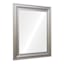 Champagne Barb Framed Rectangle Wall Mirror, 22x28