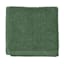Essential Solid Green Washcloth, 13"
