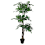 Real-Bark Fiscus Tree in Black Pot, 6.5'