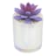 Purple Echeveria in White Vase, 5"