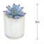 White Echeveria in White Vase, 5"