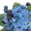 Blue Hydrangea & Berry in Blue & White Vase, 8"