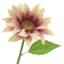 Willow Crossley Pink Sunflower Floral Pick, 12.5"