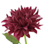 Willow Crossley Dark Purple Dahlia Floral Stem, 28.5"