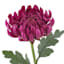 Willow Crossley Purple Mum Floral Pick, 12"