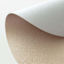 Belmar Champagne & Silver Oval Placemat, 13x18