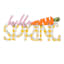 Homespun Easter Hello Spring Wooden Cutout Sign, 11"
