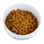 24oz Ceramic Food Dog Bowl M