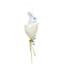 Homespun Easter White Bunny in Egg Pick, 12"