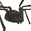 Poseable Black Furry Spider, 8'