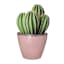 Honeybloom Robin Pink Outdoor Planter, 8"