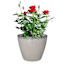 Honeybloom Robin Tan Outdoor Planter, 8"