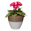 Honeybloom White Wood Grain Outdoor Egg Planter, 12"