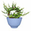 Providence Light Blue Serrated Planter, 12"
