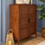 Honeybloom Wooden & Rattan Door Cabinet