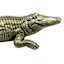 Gold Detailed Crocodile, 10.5"