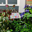 Bunny Brights Hello Spring Yard Stake, 10"